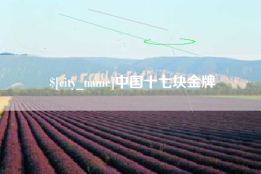 金湖中国十七块金牌