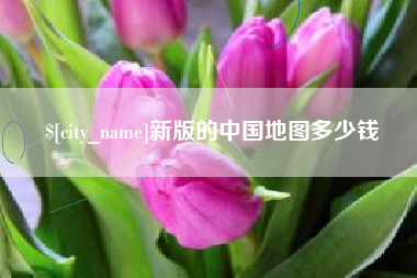 金湖新版的中国地图多少钱