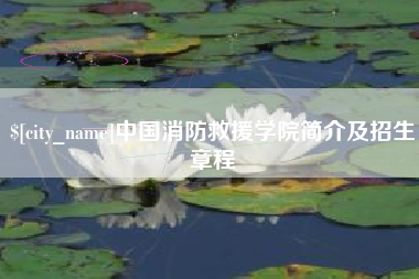 金湖中国消防救援学院简介及招生章程
