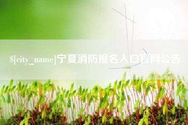 金湖宁夏消防报名入口官网公告