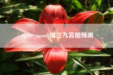 金湖排三九宫图预测