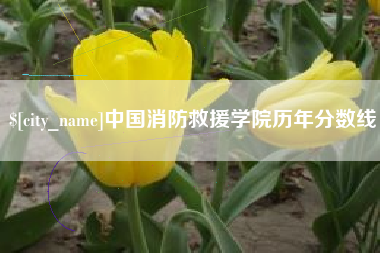 金湖中国消防救援学院历年分数线