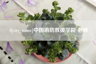 金湖中国消防救援学院 老师