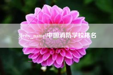 金湖中国消防学校排名