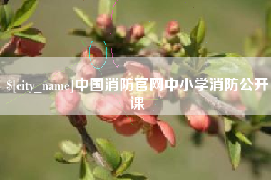 金湖中国消防官网中小学消防公开课