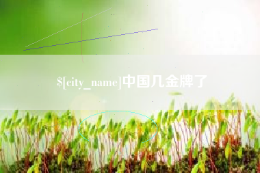 金湖中国几金牌了