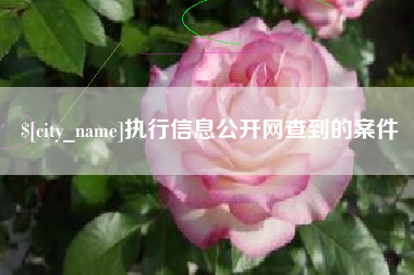 金湖执行信息公开网查到的案件