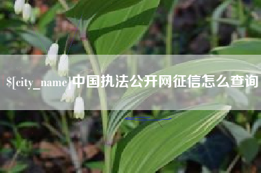 金湖中国执法公开网征信怎么查询