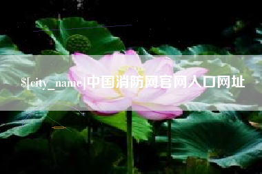 金湖中国消防网官网入口网址