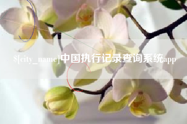 金湖中国执行记录查询系统app