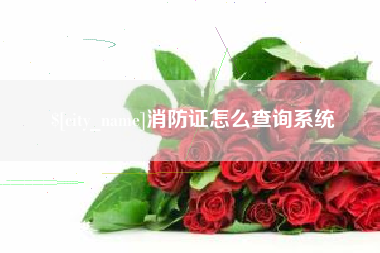 金湖消防证怎么查询系统