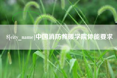 金湖中国消防救援学院体能要求