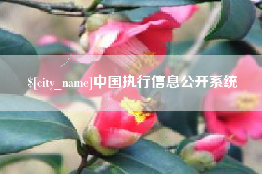 金湖中国执行信息公开系统