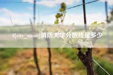 金湖消防大学分数线是多少