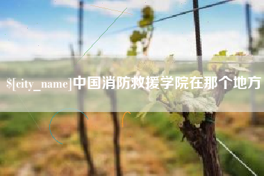 金湖中国消防救援学院在那个地方