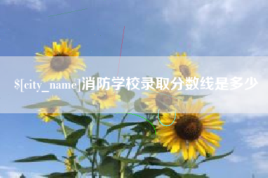 金湖消防学校录取分数线是多少