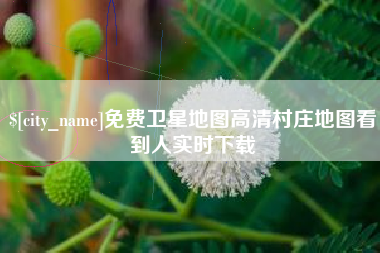 金湖免费卫星地图高清村庄地图看到人实时下载