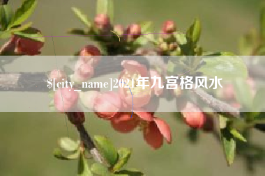金湖2021年九宫格风水
