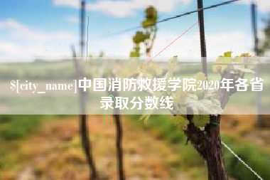 金湖中国消防救援学院2020年各省录取分数线