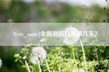金湖全国消防日是第几天？