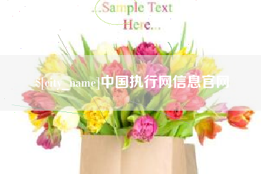 金湖中国执行网信息官网