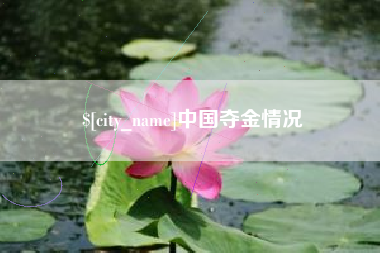 金湖中国夺金情况