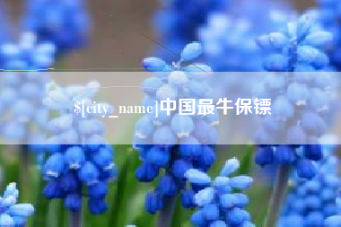 金湖中国最牛保镖