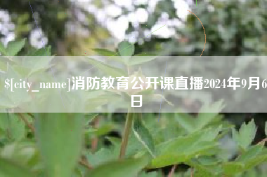 金湖消防教育公开课直播2024年9月6日