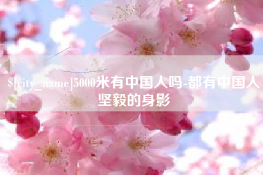 金湖5000米有中国人吗-都有中国人坚毅的身影