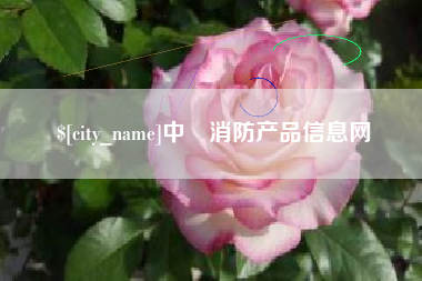 金湖中囯消防产品信息网