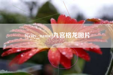 金湖九宫格龙图片