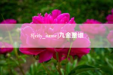 金湖九金是谁