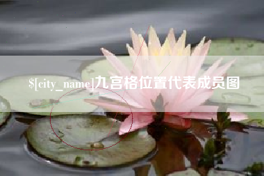 金湖九宫格位置代表成员图