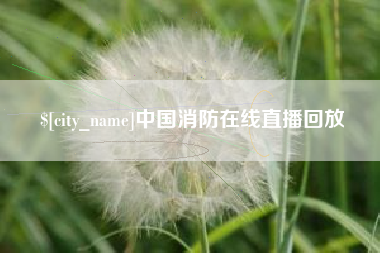 金湖中国消防在线直播回放