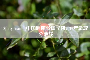 金湖中国消防救援学院2019年录取分数线