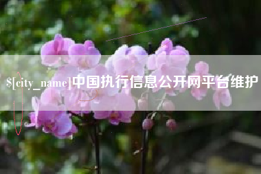 金湖中国执行信息公开网平台维护