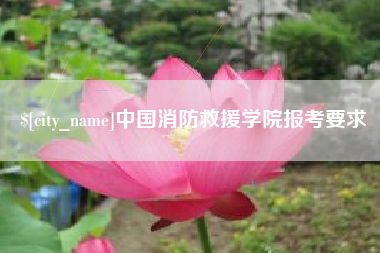 金湖中国消防救援学院报考要求