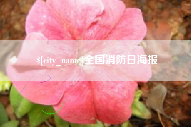 金湖全国消防日海报