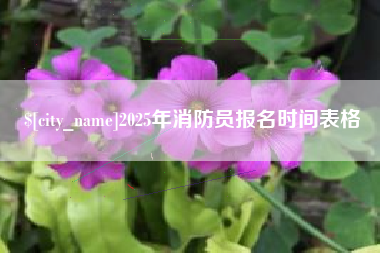 金湖2025年消防员报名时间表格