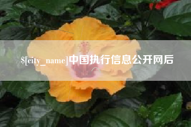 金湖中国执行信息公开网后