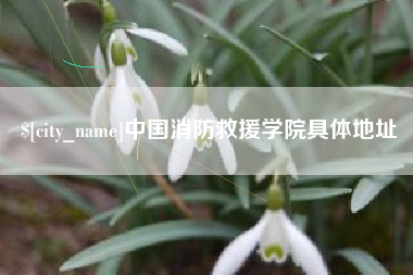 金湖中国消防救援学院具体地址