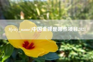 金湖中国金牌是哪些项目2021