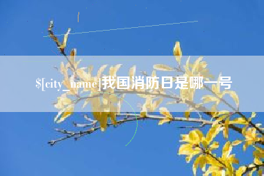 金湖我国消防日是哪一号