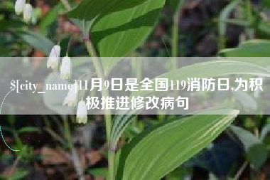 金湖11月9日是全国119消防日,为积极推进修改病句