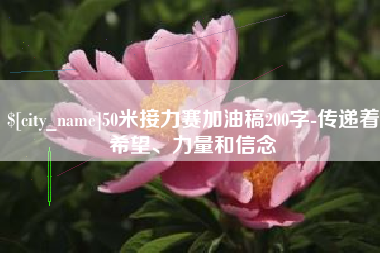 金湖50米接力赛加油稿200字-传递着希望、力量和信念