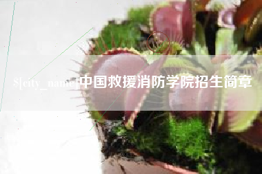 金湖中国救援消防学院招生简章