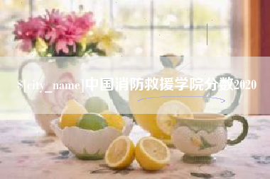 金湖中国消防救援学院分数2020
