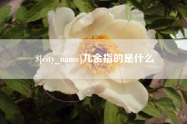 金湖九金指的是什么