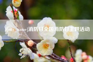 金湖消防日全国消防日主题活动