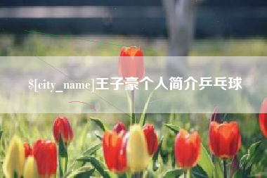金湖王子豪个人简介乒乓球